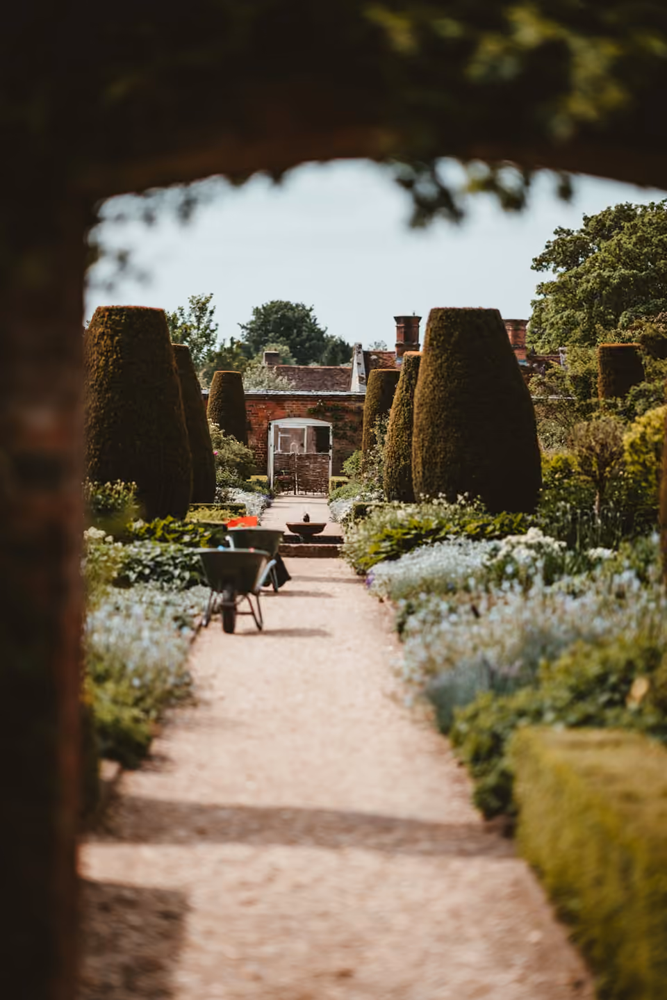 Allée structurée par des plantations dans un jardin